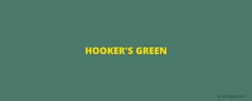 warna hijau hooker