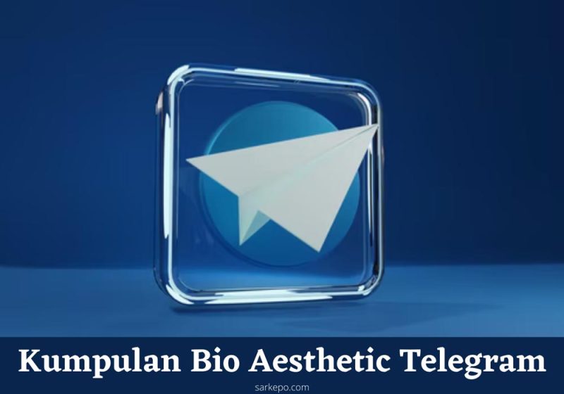 bio telegram aesthetic